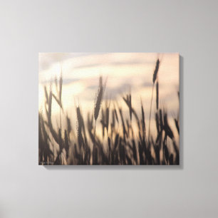 Roggenwachstum in Sepia Canvas Print Leinwanddruck