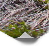 Rogie Falls, Schottland Poster (Ecke)