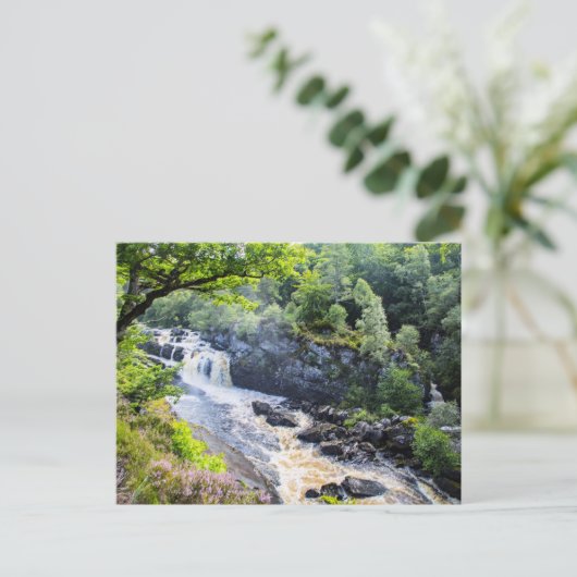 Rogie Falls, Schottland Postkarte (Stehend Vorderseite)