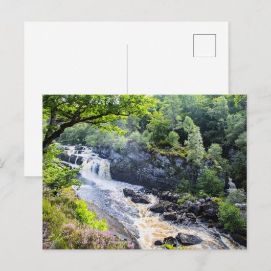 Rogie Falls, Schottland Postkarte (Vorne/Hinten)