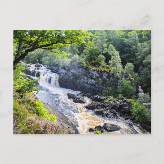 Rogie Falls, Schottland Postkarte (Vorderseite)