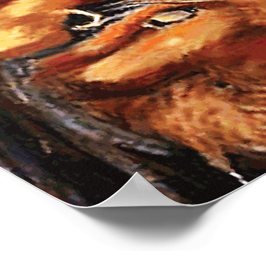 Rogue Pirate Poster (Ecke)