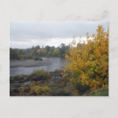 Rogue River, Grants Pass. Oder. Postkarte (Vorderseite)