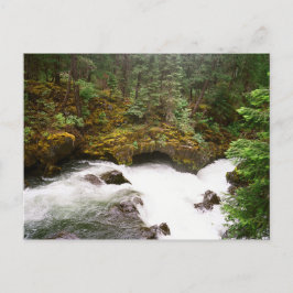 Rogue River Lava Tube Postkarte