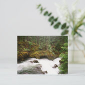 Rogue River Lava Tube Postkarte (Stehend Vorderseite)