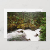 Rogue River Lava Tube Postkarte (Vorne/Hinten)