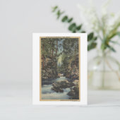 Rogue River, Oregon - Obere Schlucht Blick auf den Postkarte (Stehend Vorderseite)