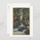 Rogue River, Oregon - Obere Schlucht Blick auf den Postkarte (Vorne/Hinten)