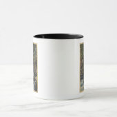 Rogue River, Oregon - Obere Schlucht Blick auf den Tasse (Zentrum)