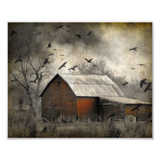 Roguish Ravens schuf ein Crownado Fotodruck (Vorne)