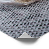 Rohe Eier, Knoblauch und Gewürze in der Küche Poster (Ecke)