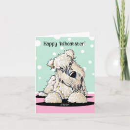 Rohe Karten für den Terrier Oaster