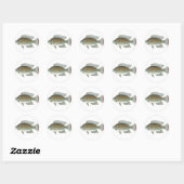 Roher Meeresfrüchte Tilapia Fish Vector Runder Aufkleber (Blatt)