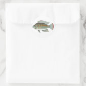 Roher Meeresfrüchte Tilapia Fish Vector Runder Aufkleber (Tasche)