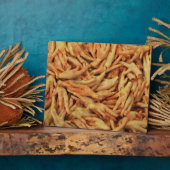 Rohes Hühnerfutter Fotoplatte (Seite)