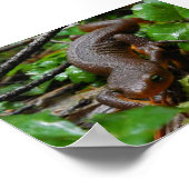 Rohling Poster (Ecke)