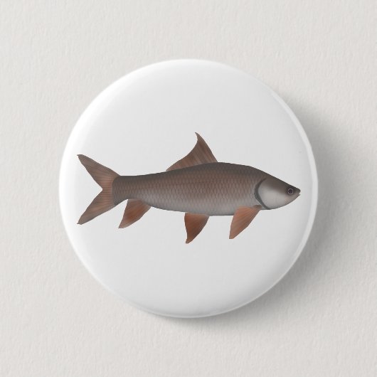 Roho Labeo Button (Vorderseite)