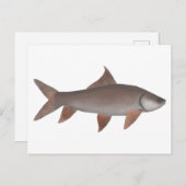 Roho Labeo Postkarte (Vorne/Hinten)