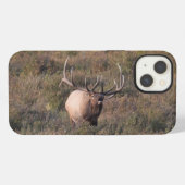 Röhrender Wapiti iPhone Hülle (Rückseite (Horizontal))