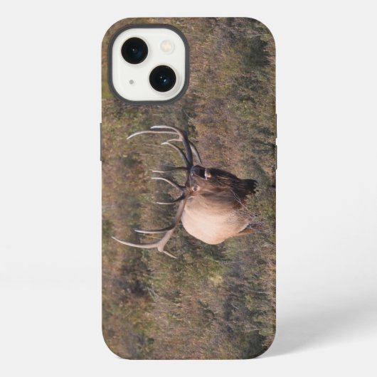 Röhrender Wapiti iPhone Hülle (Rückseite)