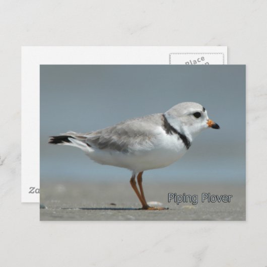 Rohrleitung Postkarte (Vorne/Hinten)