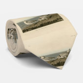 Rohrleitung von Audubons Vögeln Amerikas Krawatte (Gerollt)