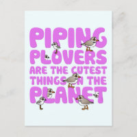 Rohrleitungen sind die Niedlichsten Dinge auf dem