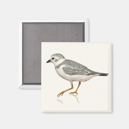 Rohrleitungs-Magnet Magnet (Vorderseite/Rückseite)