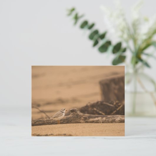 Rohrleitungstablett Postkarte (Stehend Vorderseite)