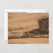 Rohrleitungstablett Postkarte (Vorne/Hinten)