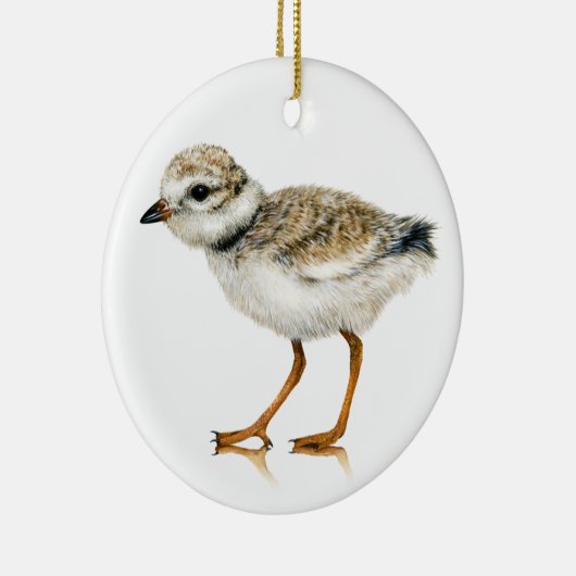 Rohrleitungsteil Chick Ornament (Rechts)