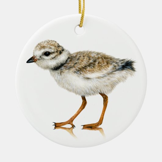 Rohrleitungsteil Chick Ornament (Vorne)