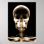 RÖHRLICHER VISION SKELETON SKULL - ORANGE POSTER (Vorne)