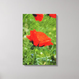 Rohroter Mohn Leinwanddruck