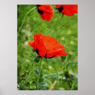 Rohroter Mohn Poster