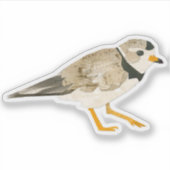 Rohrpflaster Aufkleber (Vorderseite)