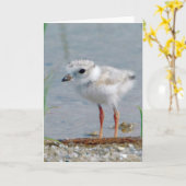 Rohrpflaster Karte (Gelbe Blume)