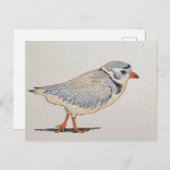 Rohrpflaster Postkarte (Vorne/Hinten)