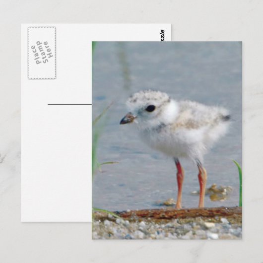 Rohrpflaster Postkarte (Vorne/Hinten)