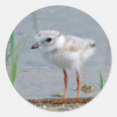 Rohrpflaster Runder Aufkleber (Vorderseite)