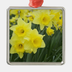 Rohstoffe Ornament Aus Metall