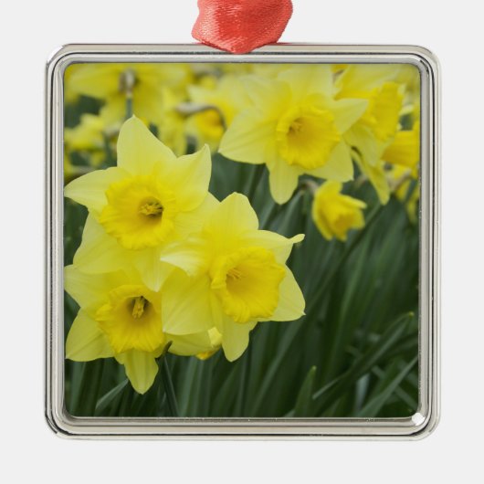 Rohstoffe Ornament Aus Metall (Vorne)