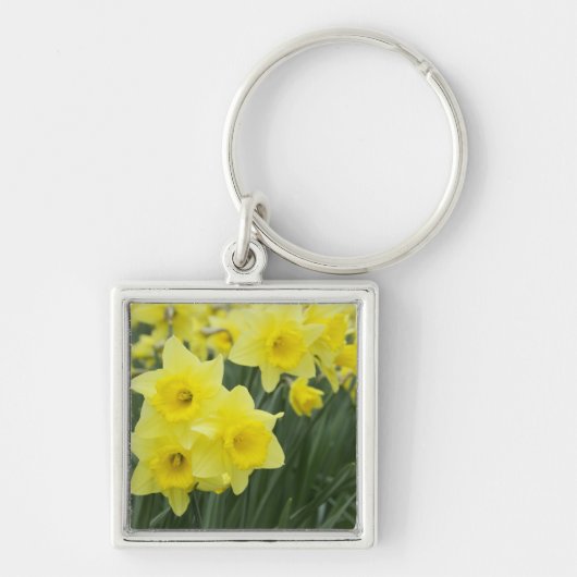 Rohstoffe Schlüsselanhänger (Vorne)