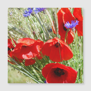 Rohter Mohn, Cottage-Garten Foto Magnetkarte