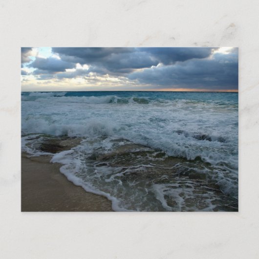 Rohwasser-Postkarte Postkarte (Vorderseite)