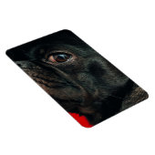 Rojo Magnet (Rechte Seite)