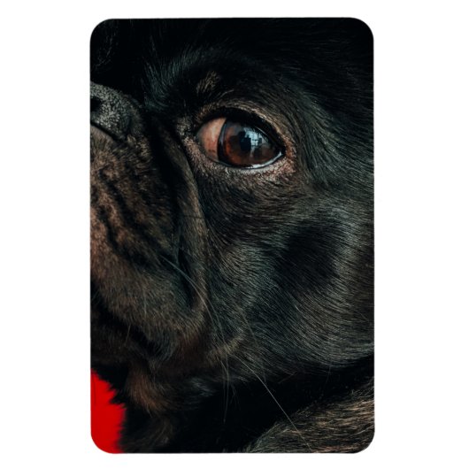 Rojo Magnet (Vertikal)