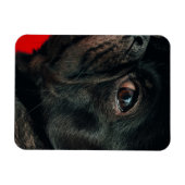 Rojo Magnet (Horizontal)