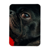 Rojo Magnet (Vertikal)