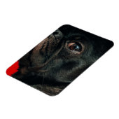 Rojo Magnet (Linke Seite)